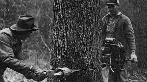 This Family Lumber Company Has Survived 11 Major Economic Downturns. Heres  How | Inc.com