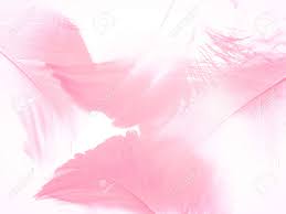 We did not find results for: Beautiful Abstract Light Pink Feathers On White Background White Feather Frame Texture On Pink Pattern And Pink Background Love Theme Wallpaper And Valentines Day Lizenzfreie Fotos Bilder Und Stock Fotografie Image 161219789