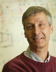 Full article: Histone Code-breakers: The Technologies of an Epigenetic  Enigma