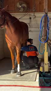 Diana 💙MY FREE OFs Video on X