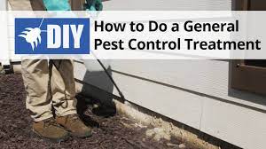 Fortunately, diy pest control is neither expensive nor complicated, it just takes some due diligence. How To Do A General Pest Control Treatment Diy Pest Control Domyown Com Youtube