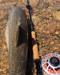 101 places to take a kid fishing #takeakidfishing. 12 Best Things To Do In Silverthorne Colorado