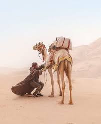 The wonder of their singing, its elusive blend of man and camel, seemed an ideal image for all uncommon couples. Camels