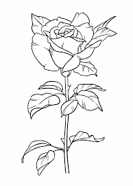 Daarna ga je met je gekozen materiaal aan de slag: Kleurplaat Bloemen 50 Superleuke Gratis Kleurplaten Bloemen In 2021 Coloring Book Pages Coloring Books Story Books Illustrations