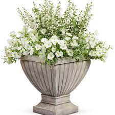 Maybe you would like to learn more about one of these? Wonderfully White Proven Winners White Flower Pot Flower Pots Outdoor Petunias