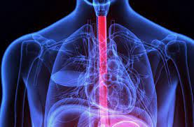 Chest Pain Is It Heart Attack Or Nutcracker Esophagus Health Essentials From Cleveland Clinic