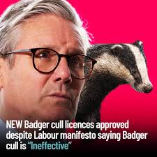 Sal Robinson Ⓥ🌱 (@rangers0853)