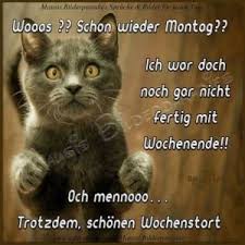 Wochenstart Wunsche Bilder 1 Liebe Und Spruche