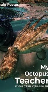 My octopus teacher tells the story of a capetonian film maker and free diver, craig foster who needed a break from a busy schedule that was taking its toll. My Octopus Teacher 2020 Imdb