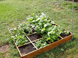 Bukan hanya sekadar mengisi waktu luang di rumah, tapi berkebun memiliki banyak manfaat. 11 Inspirasi Kebun Sayur Kreatif Yang Bisa Kamu Coba