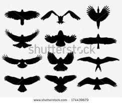 flying crow front view google search eagle silhouette birds in flight crow silhouette flying crow front view google search