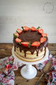 Dritter Bloggeburtstag Und Eine Erdbeer Holunder Torte Jenny Is Baking Rezept In 2020 Himbeeren Kuchen Ideen Schoko Himbeer Torte