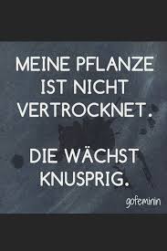 Zu Viele Verbindungen Lustige Zitate Und Spruche Lustige Spruche Coole Spruche
