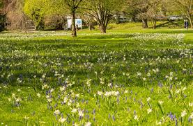 Neue Coronaregeln In Hohenheimer Garten Mundschutzpflicht Fur Parkbesucher Stuttgart Stuttgarter Nachrichten