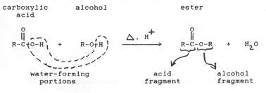 Image result for esterification