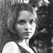 Watch Live TV, Movies, and TV Shows Free Online