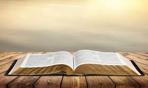 Abra o livro da Bíblia Sagrada, vista de perto | Foto Premium