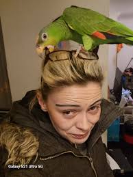 I should have said that I live in Bray and don't drive. Last minute I know  but is there any where to get Toy Show treat boxes 🤔🤔