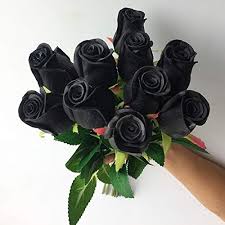 My favourite flower quotes and verses. Jiumengya 10pcs Real Touch Black Rose Simulated Fake Latex Roses 43cm For Wedding Party Artificial Decorative Flowers Black Pricepulse