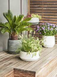 Les Plantes D Exterieur En Pot Bien Les Choisir Et Les Faire Durer Fleurs Terrasse Grands Pots De Jardin Plante Exterieur