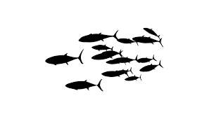 Download free fish png images. Group Fishes Png Hd Transparent Image Pngimages Pics