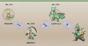 Valid Pokemon Treecko Evolution Chart What Is The Best