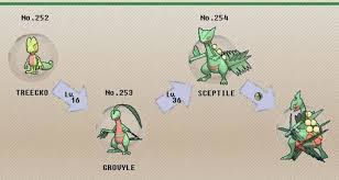 valid pokemon treecko evolution chart what is the best