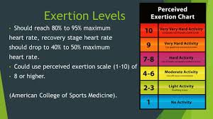 image result for heart rate recovery chart could sentences