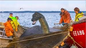 20 Times The Loch Ness Monster Was Spotted and Caught on Camera.