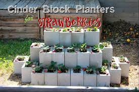 See more ideas about cinder block garden, outdoor gardens, raised garden beds. Clearwater Cottage Cinder Block Strawberry Planter