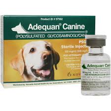 Adequan Canine Injectable