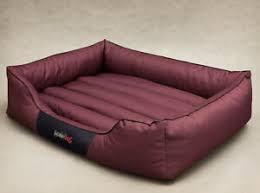 Unlike the outfit you picked out for your senior prom 20 years ago, it's a choice you if you have a large dog breed, you may want to consider a different bed. Extra Large Dog Bed With Removable Cover Big Washable 140cm X 115cm Hobbydog Mat Ebay