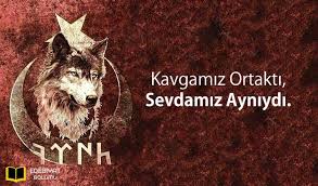 Ulkucu Sozleri Bozkurt Ve Asena Kisa Anlamli Ve Resimli Sozleri 2020 Fotografcilik Fotografcilik Pozlari Bayrak