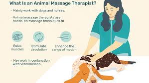 Findinfoonline.com has been visited by 100k+ users in the past month Animal Massage Therapist Job Description Salary More