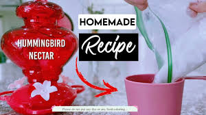 Check spelling or type a new query. How To Make Hummingbird Food Sugar And Water Ratio Youtube