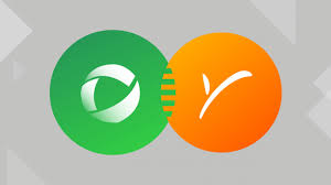 Icons are in line, flat, solid, colored outline, and other styles. Payoneer Acquires Payment Orchestration Platform Optile Payoneer