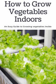Maybe you would like to learn more about one of these? How To Grow An Indoor Vegetable Garden An Alli Event