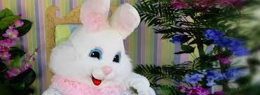 I am bringing before you happy easter 2014 bunny pictures, eggs images and wishes collection. Best 123 Happy Easter Images 2021 Pictures Photos Hd Wallpaper Free Download
