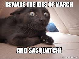 5 funny ides of march memes to post on social media | investorplace. Beware The Ides Of March And Sasquatch Schitzo Cat Make A Meme
