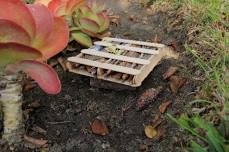 Bug Hotel