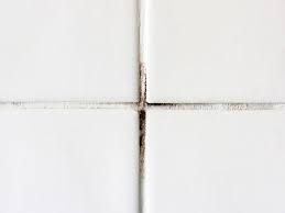 Grout is crucial to both the longevity and appearance of a tile job. How To Replace Moldy Grout Diy