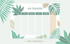 Planning semaine / calendrier 2021 semaine planning hebdomadaire semainier. You Can Check Out The Weblog For Much More New Snap Shots Weekly Planner Printable Study Tips Car Semainier Planificateur De La Semaine Calendrier Hebdomadaire