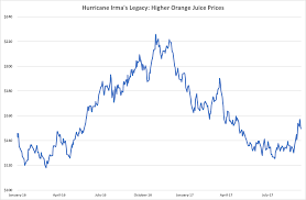 matt badiali blog hurricane irma gave us a bull market