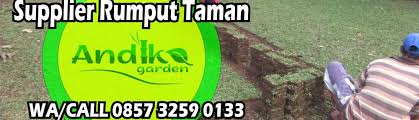 Untuk harga rumput gajah mini dapat dikatakan rumput taman yang paling terjangkau dan paling laris di pasaran. Harga Pemasangan Rumput Gajah Mini Tlp 0857 3259 0133 Pusat Tlp 62 857 3259 0133 Bibit Rumput Gajah Mini Varigata Jual Bibit Rumput Gajah Mini Cari Bibit Rumput Gajah Mini Jual Bibit Rumput