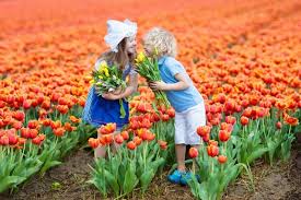This list may not reflect recent changes ().(previous page) () Dutch Boy Names Popularity And Meaning Clevermomhacks Com
