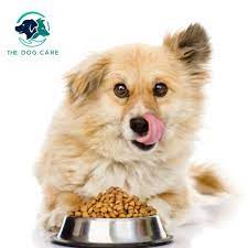 dog food the dog care in 2021 pedigree dog food dry dog food dog food recipes