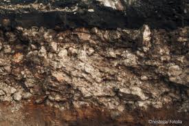 Ever get stuck on percentages? Den Garten Kalken Erfahren Sie Hier Mehr