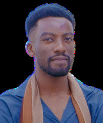 ReportOUT UN Response