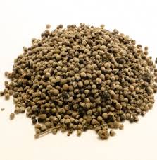 Image result for Vitex strickeri