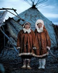 Image result for Kotschya